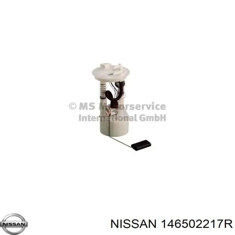 146502217R Nissan bomba de vacío