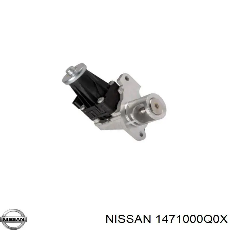 185025N Dasis Válvula EGR