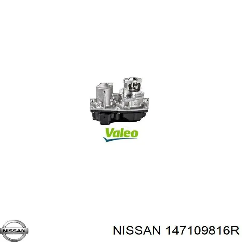 147109816R Nissan válvula egr
