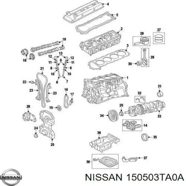 150503TA0A Nissan