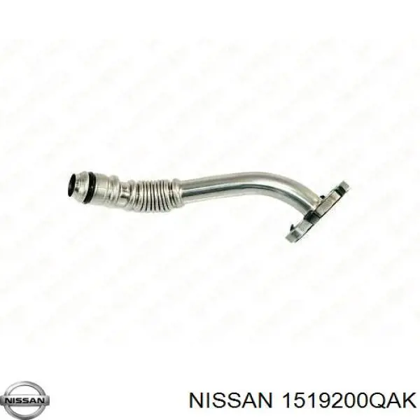 Comprar 1519200QAK Renault (RVI) Tubo de drenaje de aceite de turbocompresor