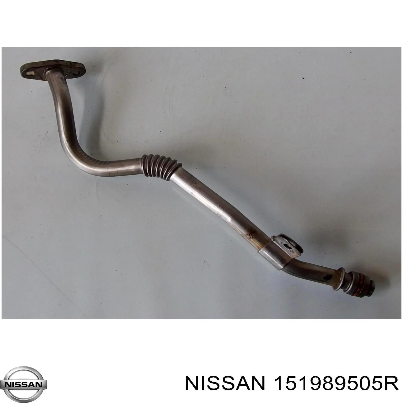 151989505R Nissan tubo (manguera Para Drenar El Aceite De Una Turbina)