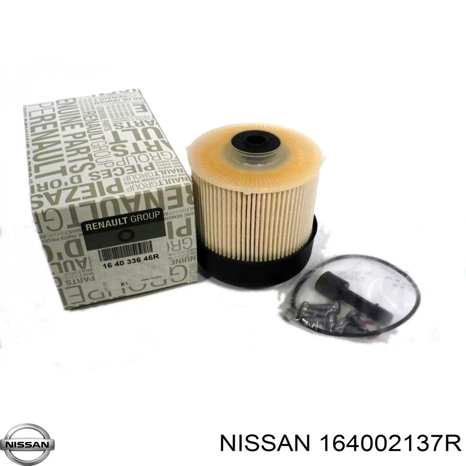 164002137R Nissan filtro de combustible