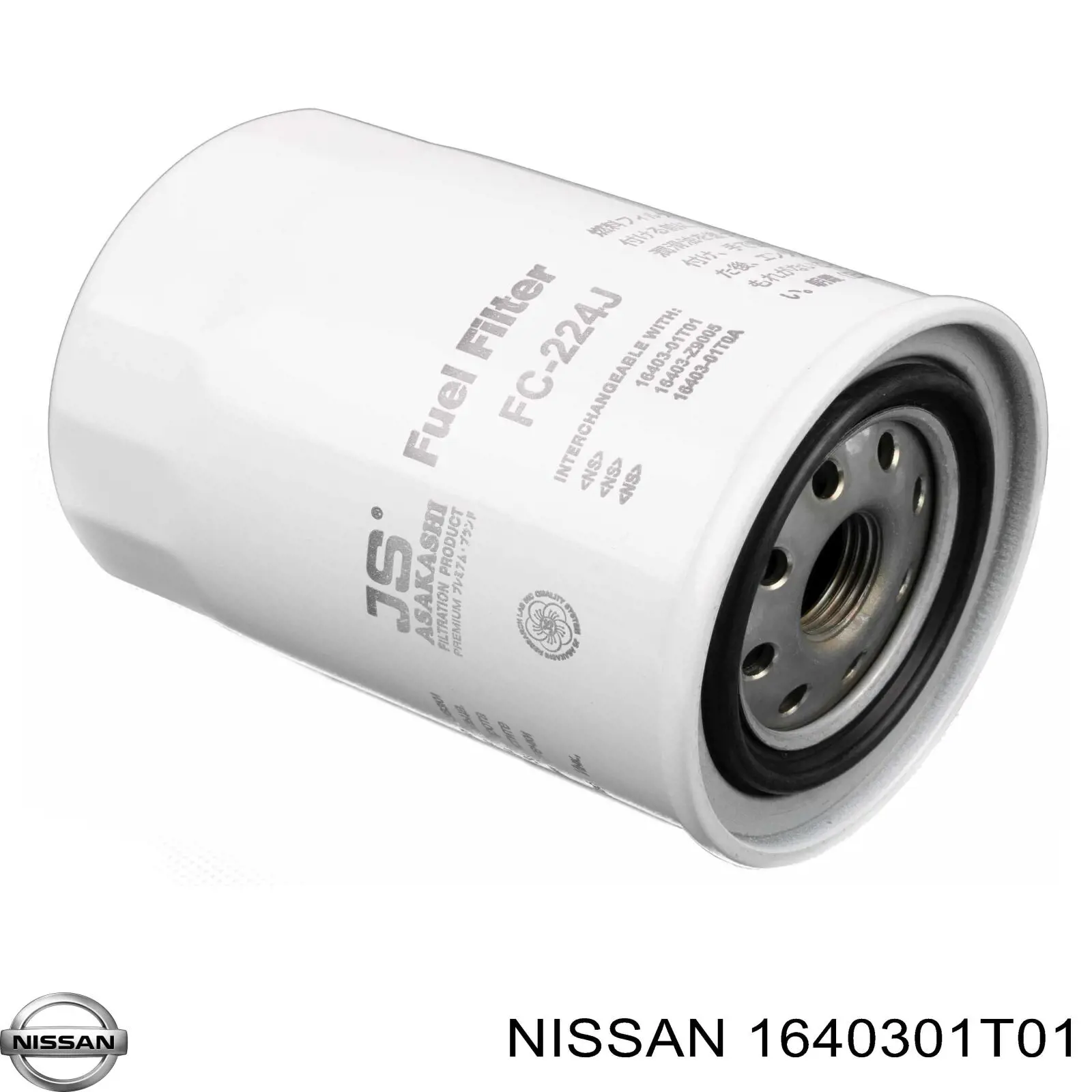 1640301T01 Nissan filtro combustible