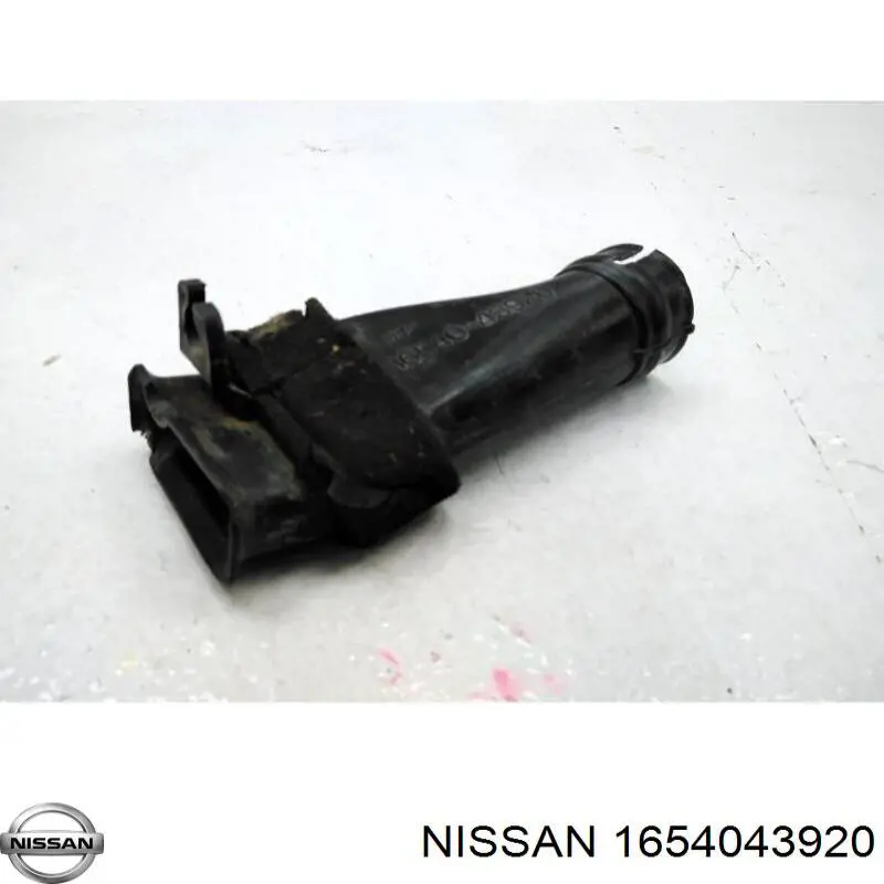 Conducto de aire, salida del filtro de aire Nissan/Infiniti 1657395F0A precio, desde 15,85 EUR