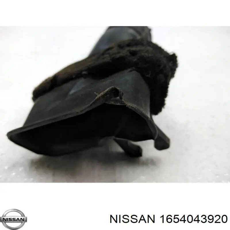Comprar 1657395F0A Nissan/Infiniti Conducto de aire, salida del filtro de aire