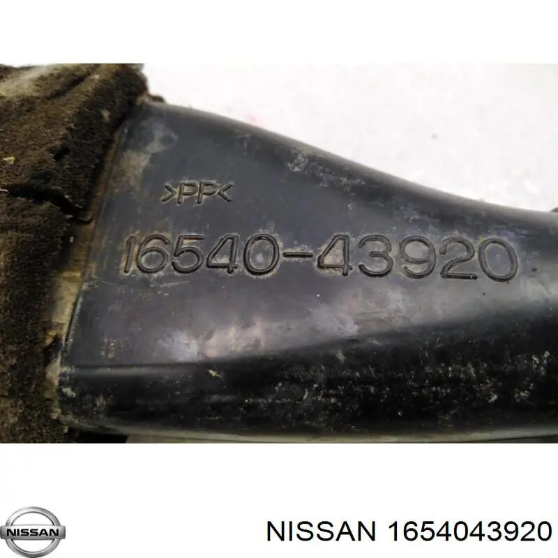 Comprar 1657395F0A Nissan/Infiniti Conducto de aire, salida del filtro de aire