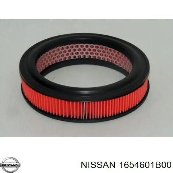 1654601B00 Nissan filtro de aire