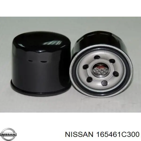 165461C300 Nissan filtro de aire