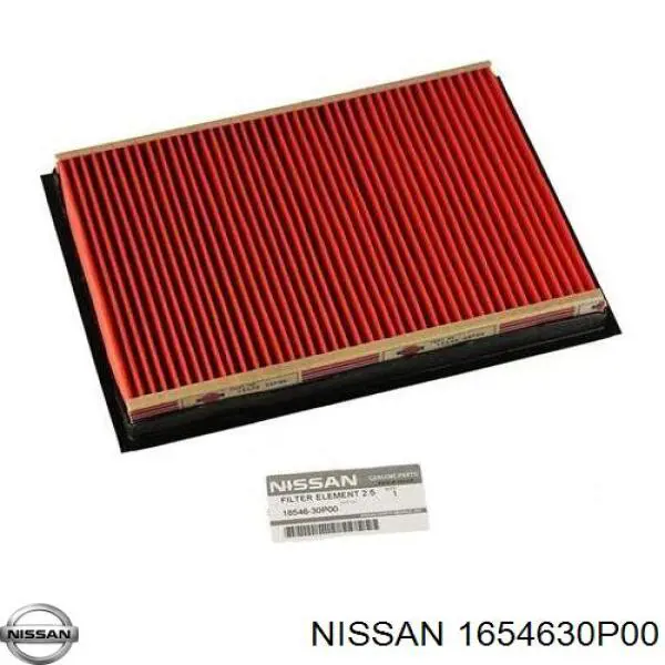 Filtro de aire 1654630P00 Nissan/Infiniti
