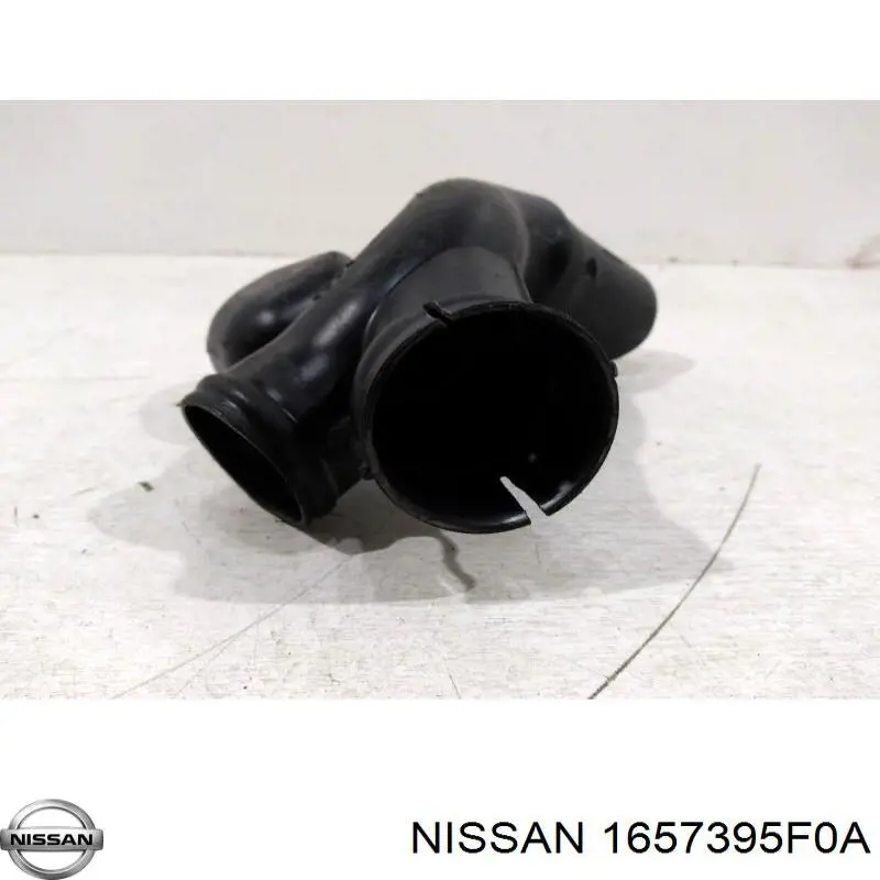 1657395F0A Nissan tubo flexible de aspiración, salida del filtro de aire