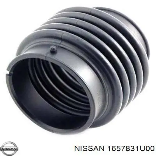 Tubo flexible de aspiración, cuerpo mariposa para Nissan Maxima (A32)