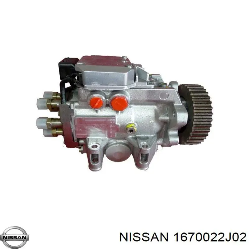 1670022J02 Nissan