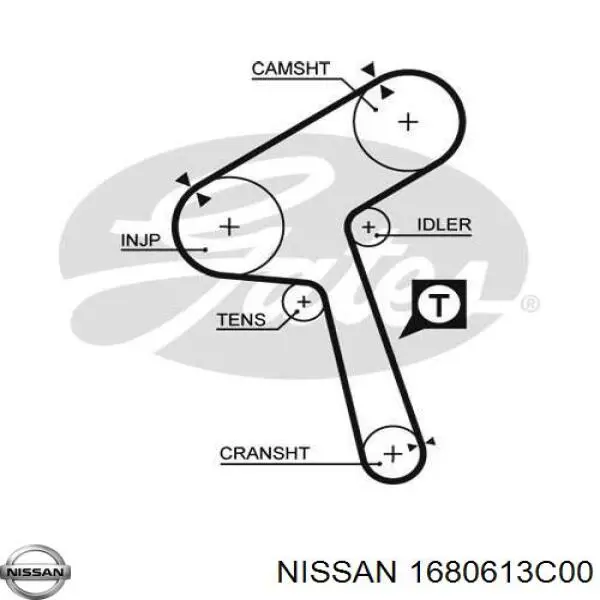 1680613C00 Nissan correa distribucion