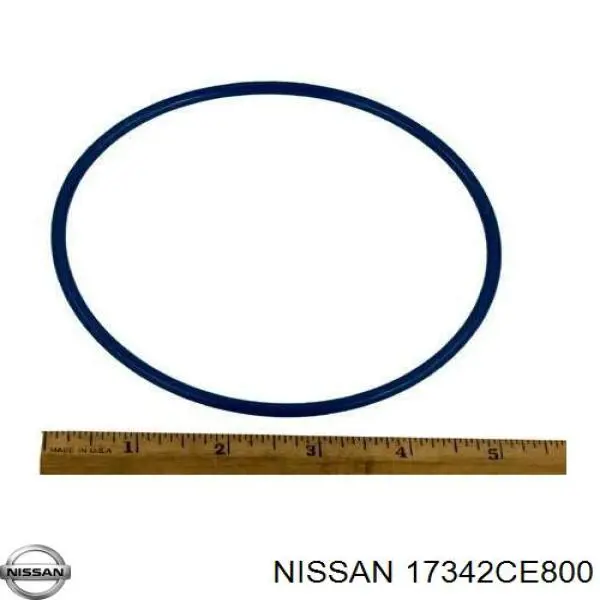  Nissan/Infiniti 17342CE800 precio, desde 19,16 EUR