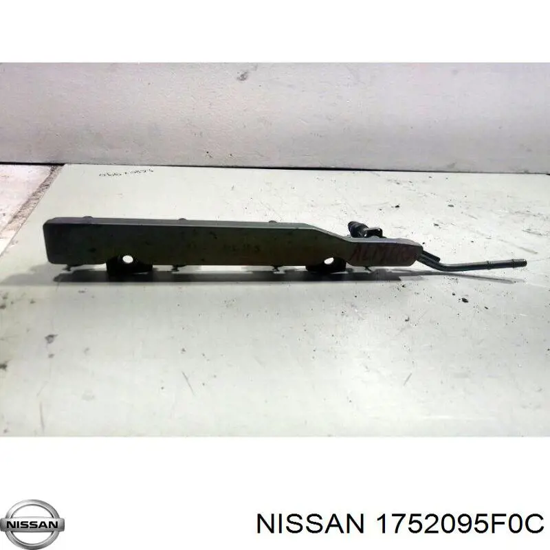 Comprar 1752095F0C Nissan/Infiniti Rampa de combustible