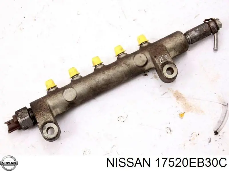 Rampa de combustible Nissan/Infiniti 17520EB30C precio, desde 370,25 EUR