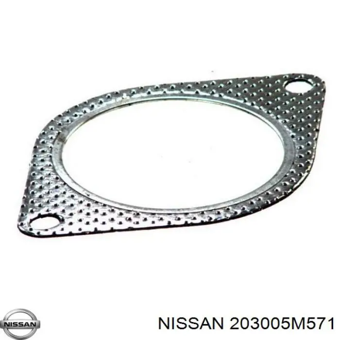 Silenciador central Nissan/Infiniti 203005M571 precio, desde 61,94 EUR