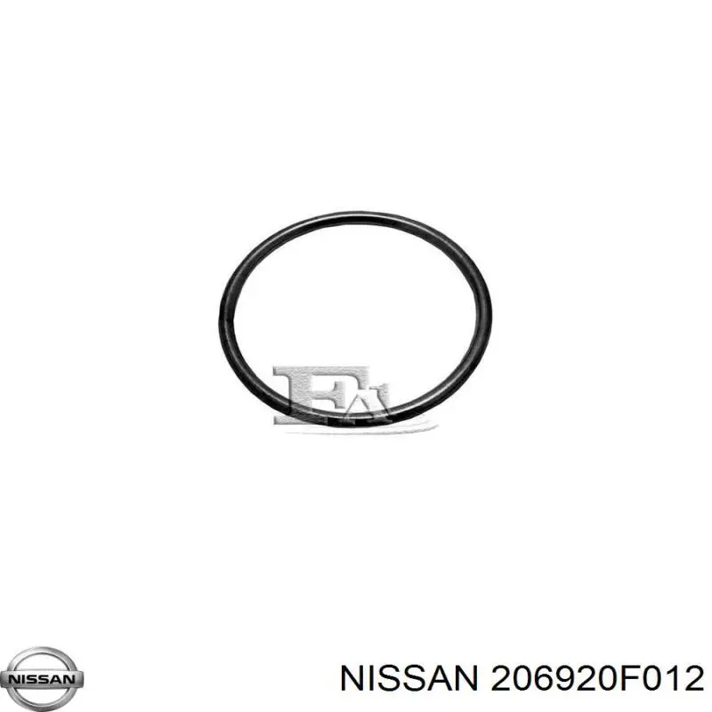 206920F012 Nissan