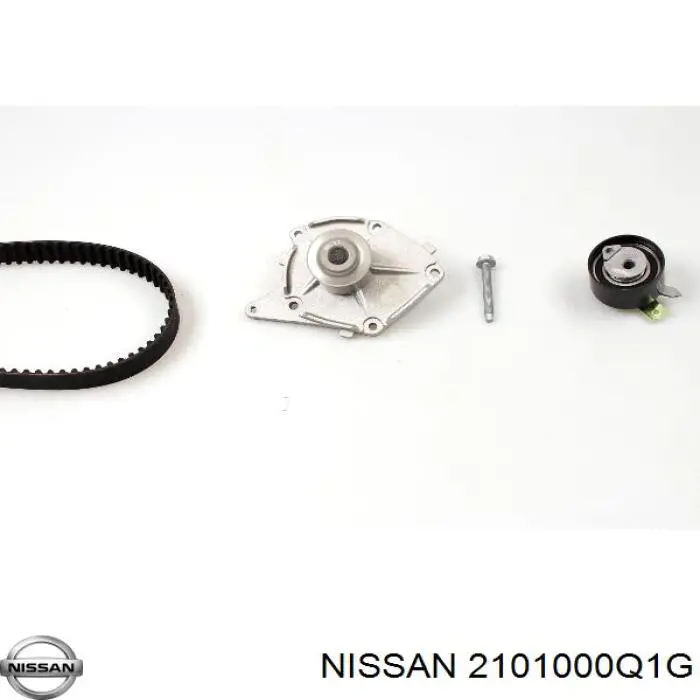 2101000Q1G Nissan