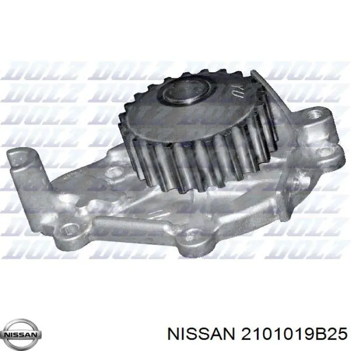 2101019B25 Nissan bomba de agua