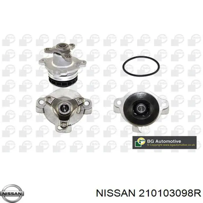 210103098R Nissan bomba de agua