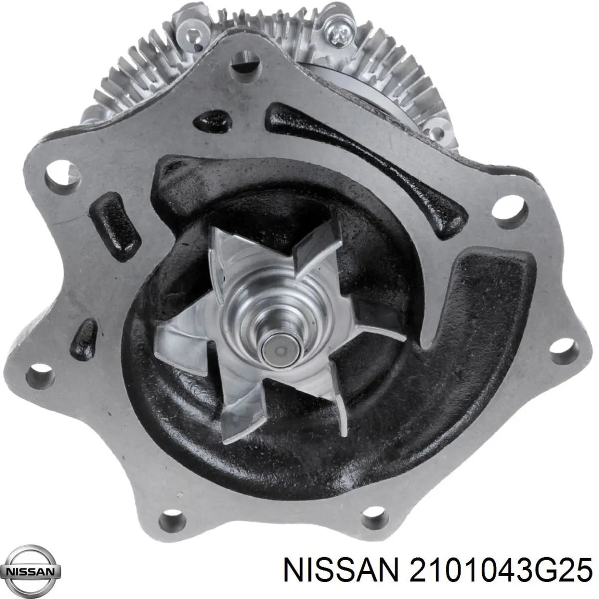 2101043G25 Nissan bomba de agua