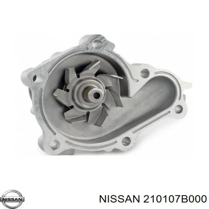 B10107B000 Nissan