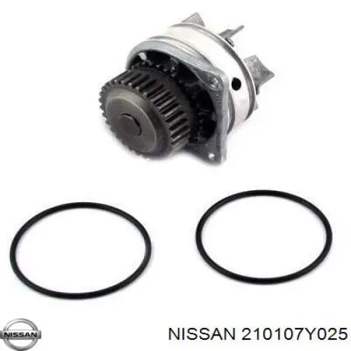 Bomba de agua 210107Y025 Nissan/Infiniti