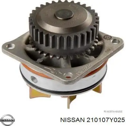 Bombeadora de agua Nissan/Infiniti 210107Y025 precio, desde 50,51 EUR