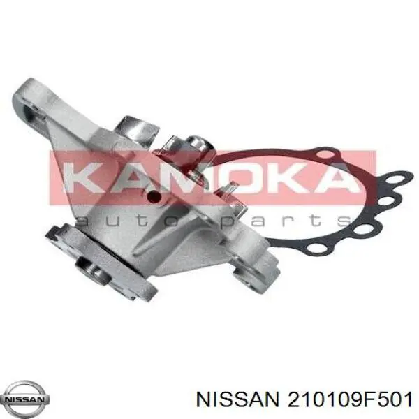 Bombeadora de agua Nissan/Infiniti 210109F501 precio, desde 32,84 EUR