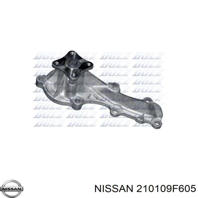 Bombeadora de agua Nissan/Infiniti 210109F605 precio, desde 36,74 EUR