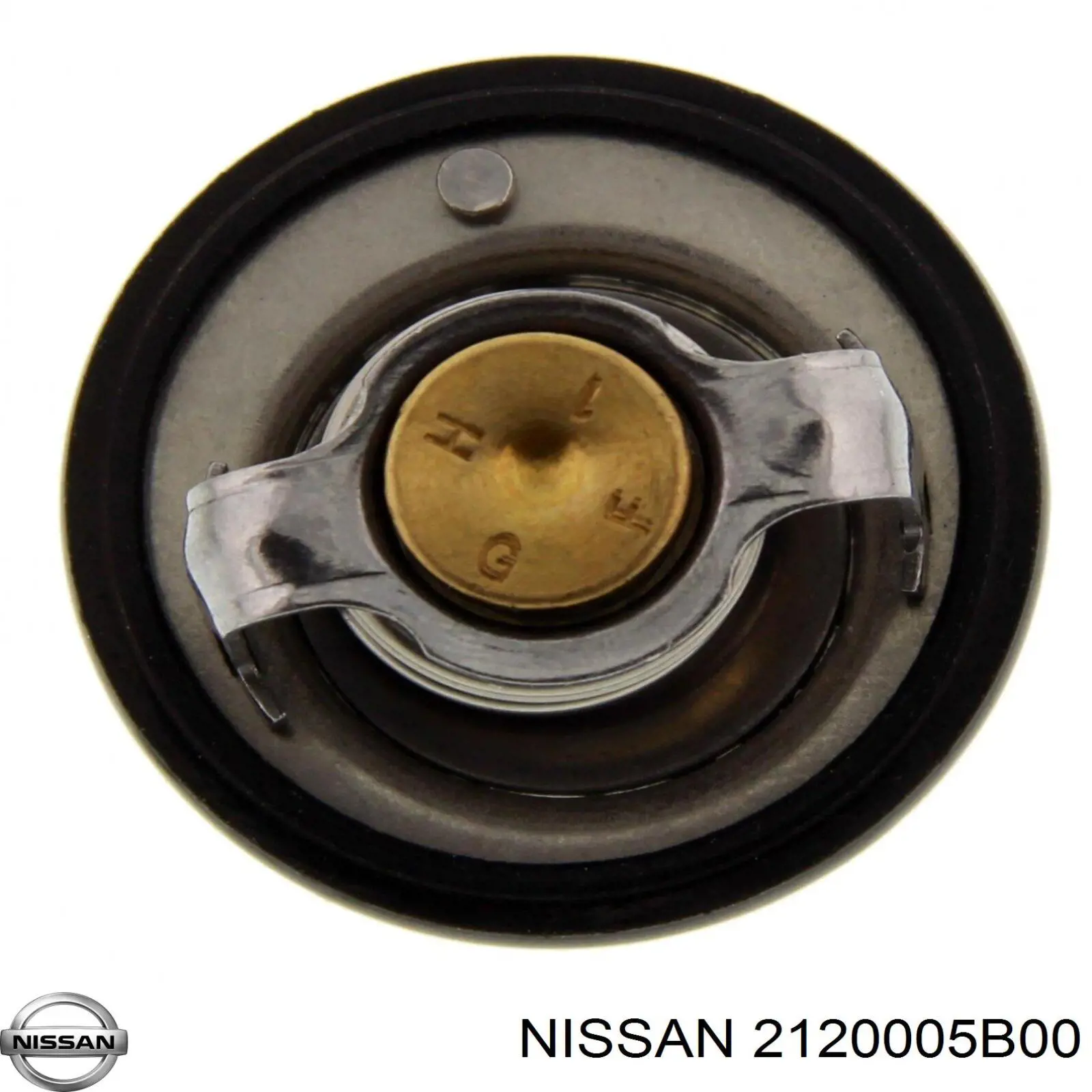 Comprar 1767050G20 Suzuki Termostato