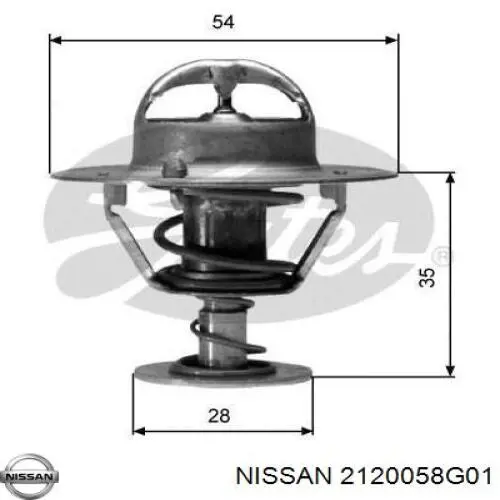 2120058G01 Nissan termostato