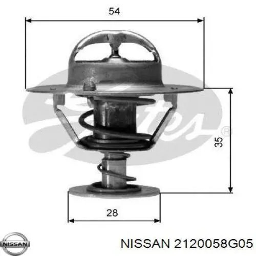2120058G05 Nissan termostato