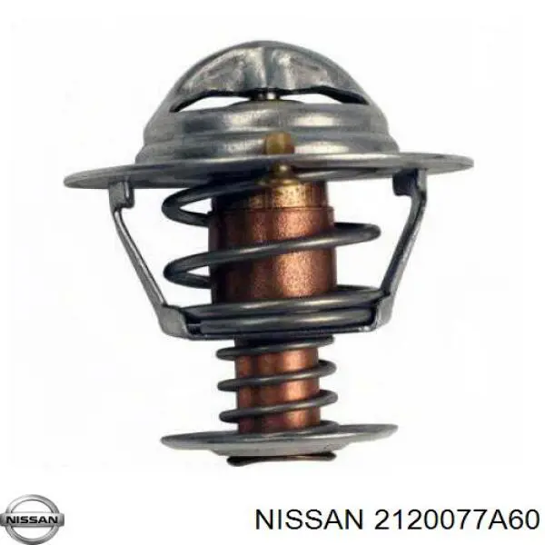 2120077A60 Nissan termostato