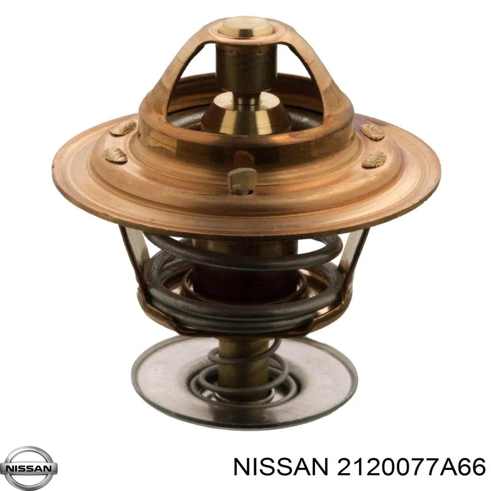 2120077A66 Nissan termostato