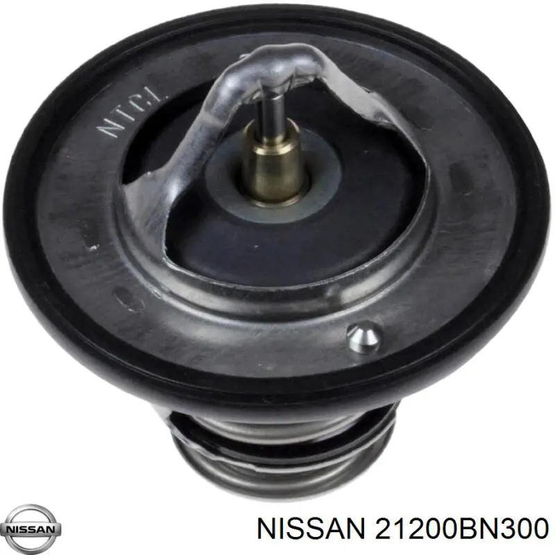 21200BN300 Nissan
