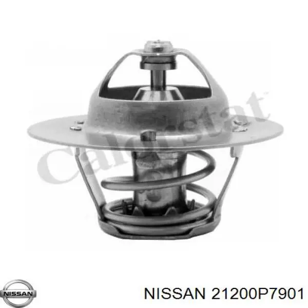 21200P7901 Nissan termostato