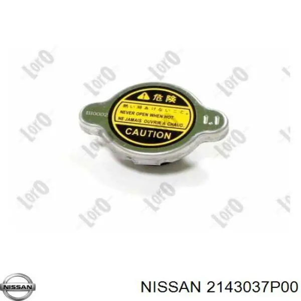2143037P00 Nissan