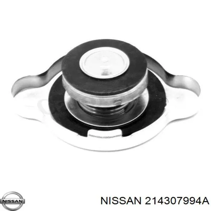 214307994A Nissan