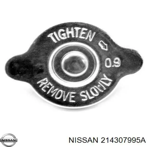 214307995A Nissan