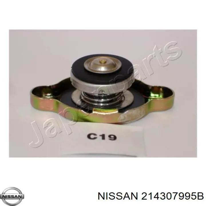 214307995B Nissan