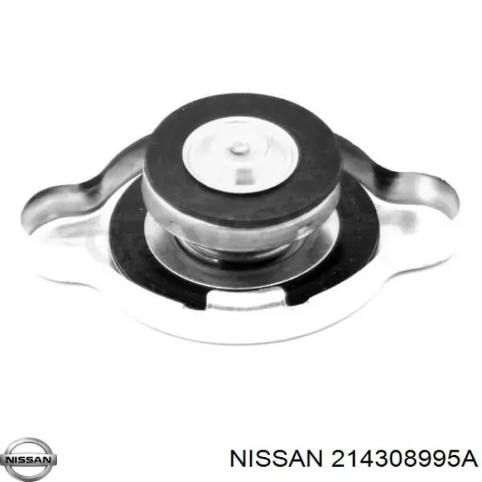 214308995A Nissan/Infiniti 