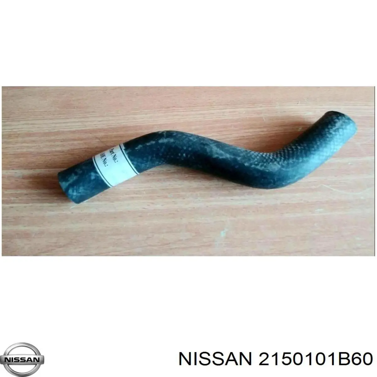 2150101B60 Nissan