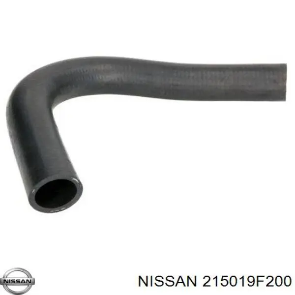 215019F200 Nissan