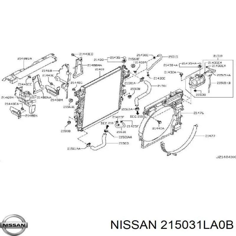 215031LA0B Nissan manguera refrigerante para radiador inferiora