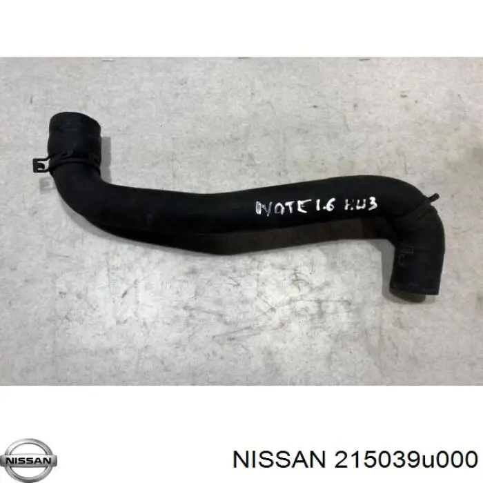 215039U000 Nissan