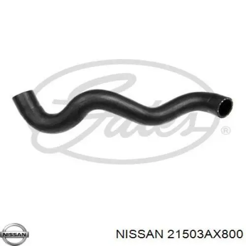 Comprar 21503AX800 Nissan/Infiniti Manguera inferior del radiador
