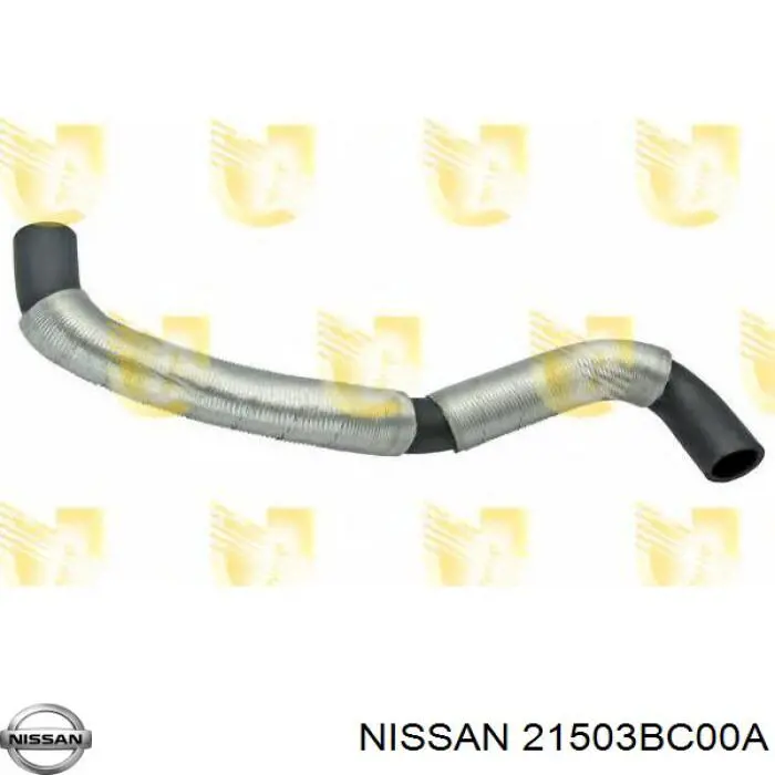 Comprar 21503BC00A Nissan/Infiniti Manguera inferior del radiador